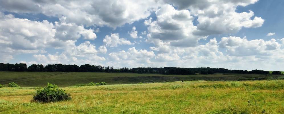 
            Фотография Тужилков