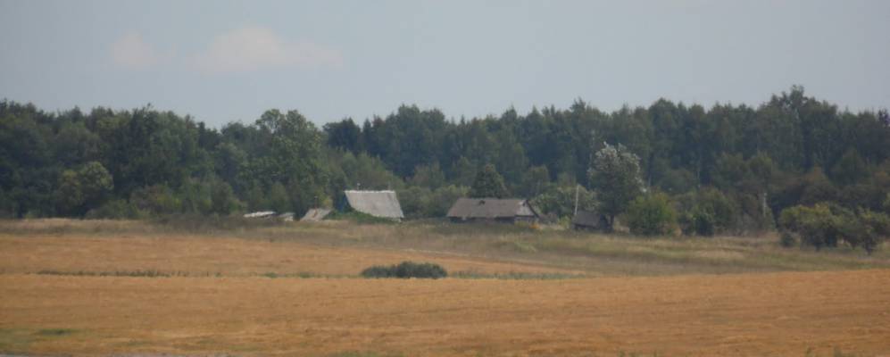 
            Фотография деревни Песьковичи