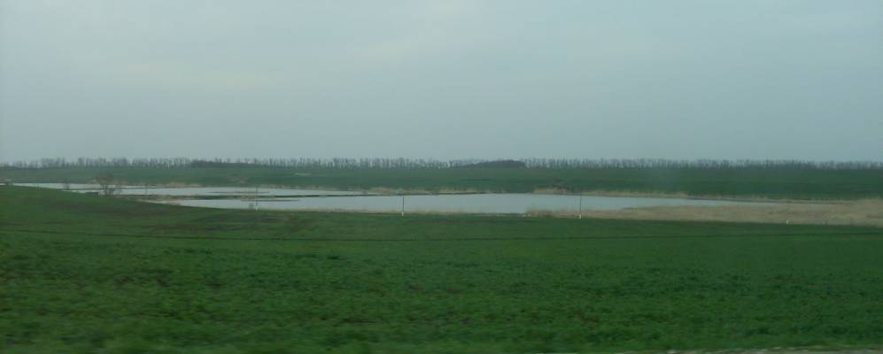 
            Фотография Степного