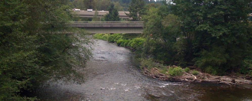 
            Фотография Мапл Велли