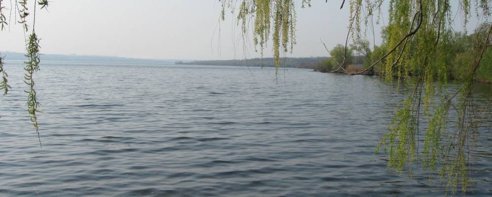 
            Фотография Дибровой