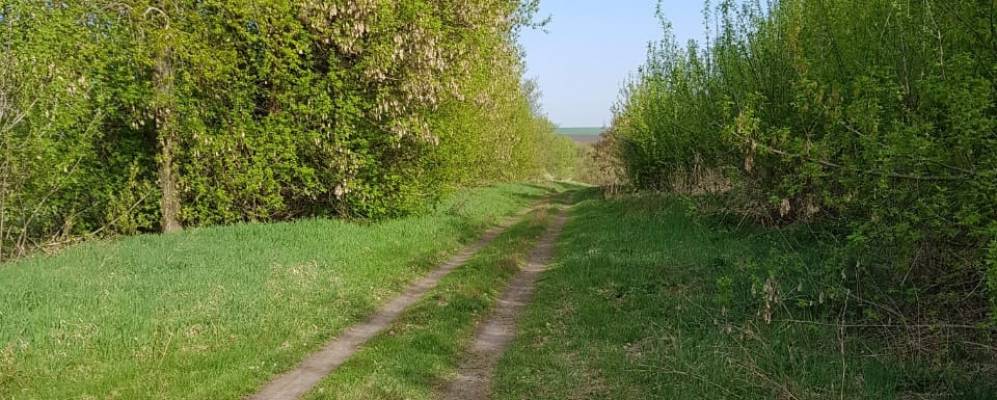 
            Фотография Заломного