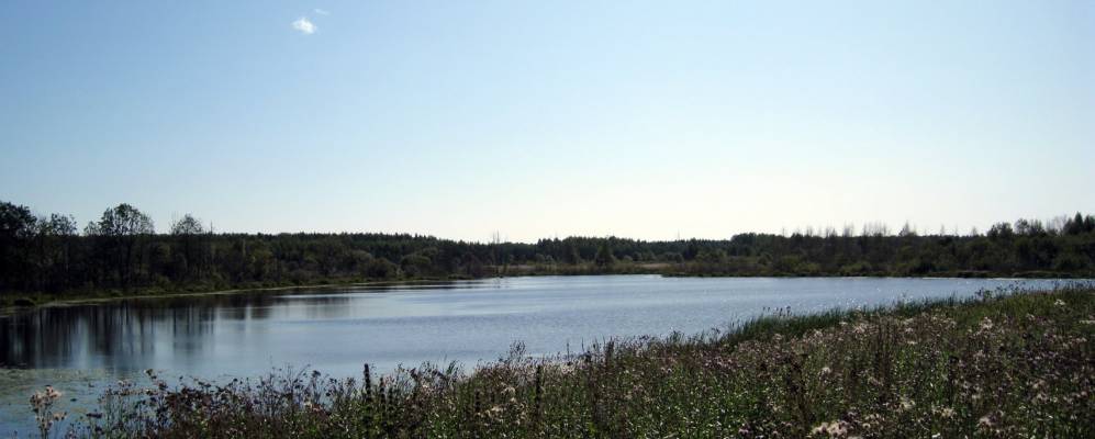 
            Фотография Большой Шиловщины