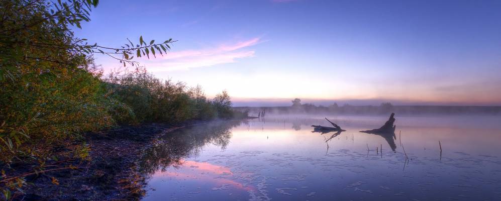 
            Фотография Аникеевского