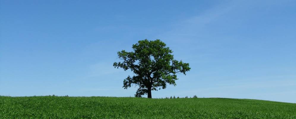 Фотография Ровного Поля