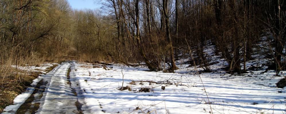 
            Фотография Красовки