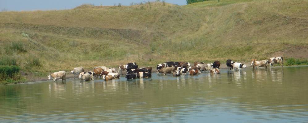 
            Фотография Старого Вершаута