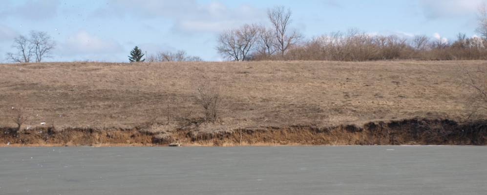 Фотография Романы