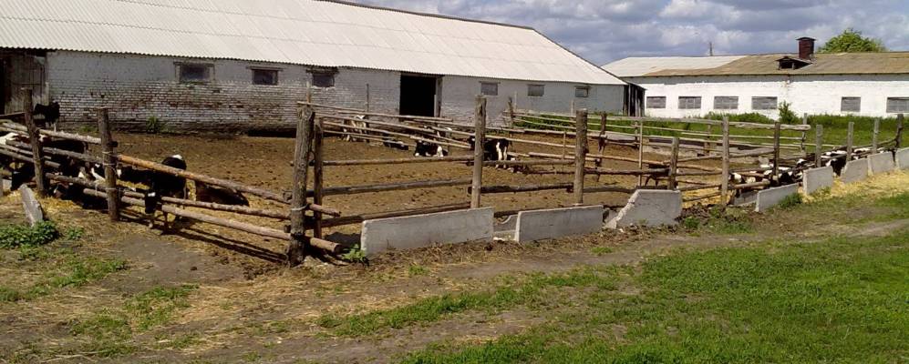 Фотография Руды