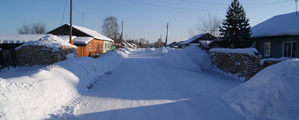 сосновый бор земля. сосновый бор красноярск поселок. карагайский бор магнитогорск. сосны красноярск сосновый бор. участок в сосновом бору.
