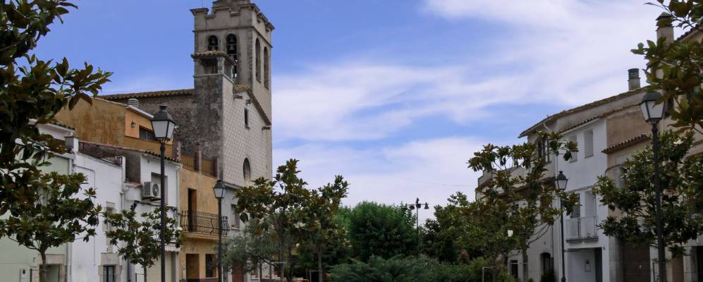 
            Фотография Риудельотс де ла Сельвы