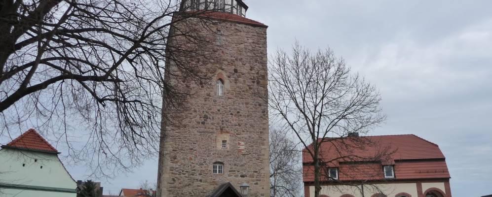 
            Фотография Гробцига