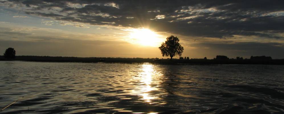 
            Фотография Тугузбаева