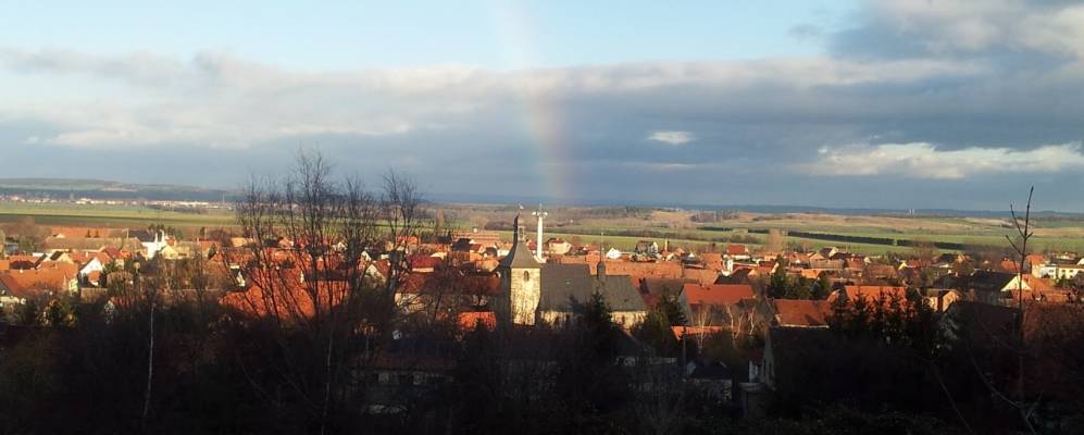 
            Фотография Ридера