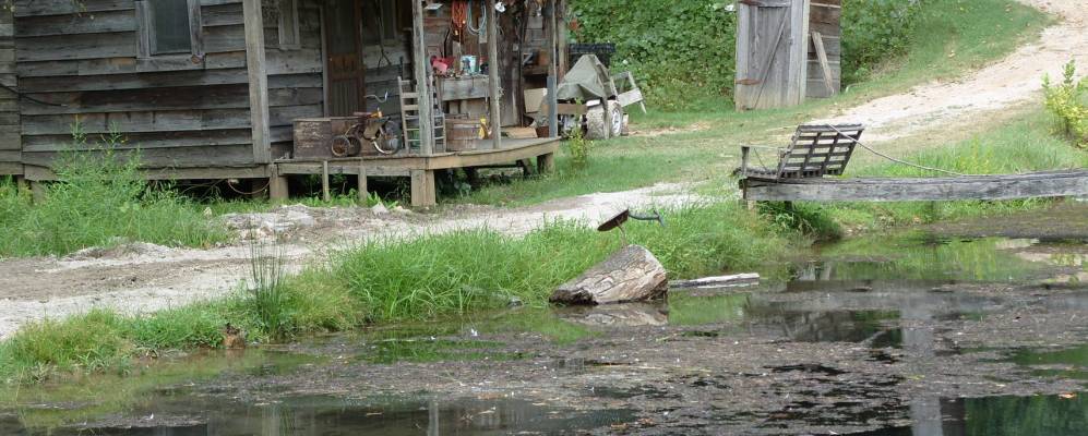 
            Фотография Гленко