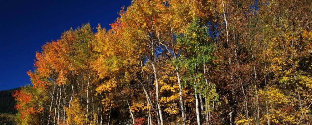 
            Фотография Сент-Фуа-Тарентез