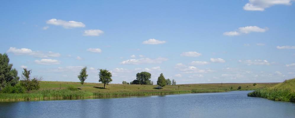 
            Фотография Степового