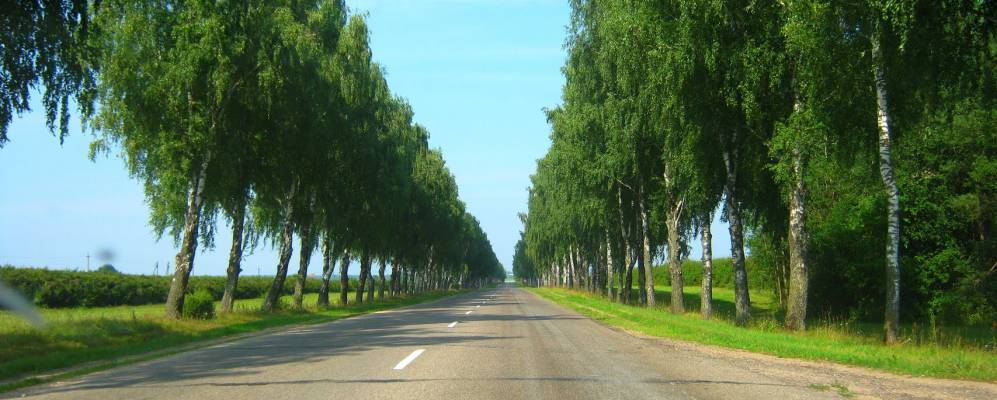 
            Фотография Бенейков