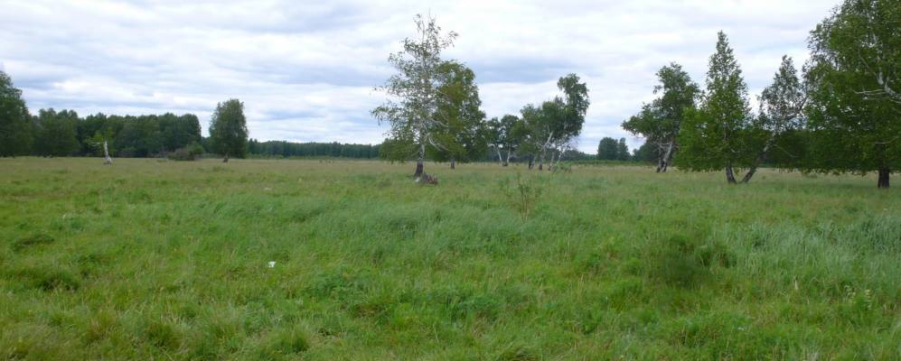 
            Фотография Березовска