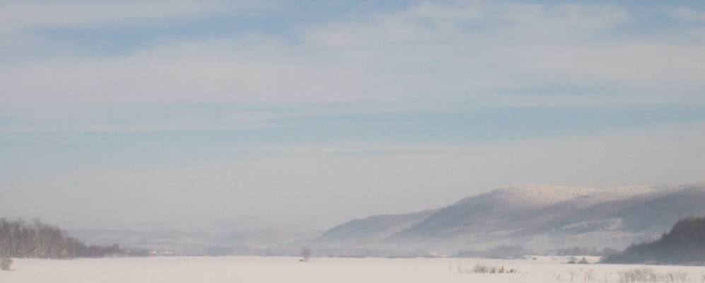 
            Фотография Фруадтера