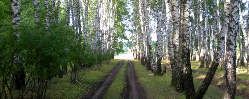 
            Фотография Фёдоровки