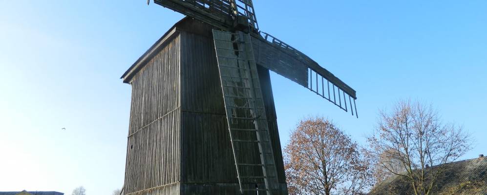 
            Фотография Добрыня