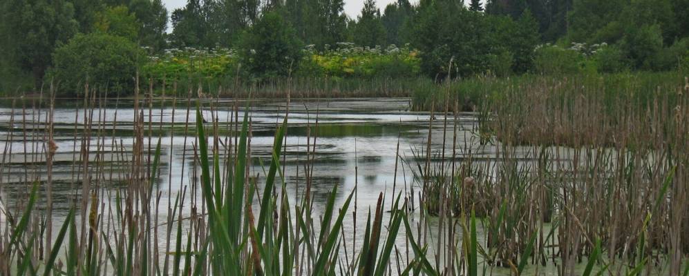 
            Фотография Александровки