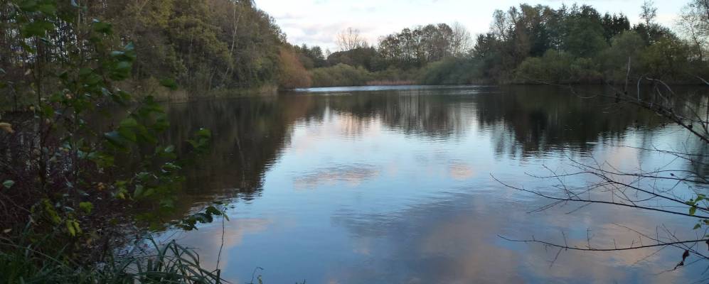 
            Фотография Таппенбека