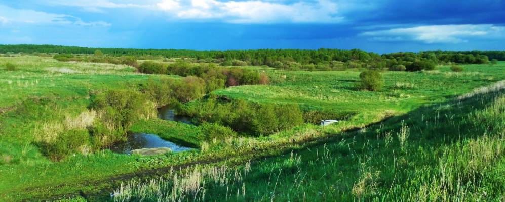 
            Фотография Новой