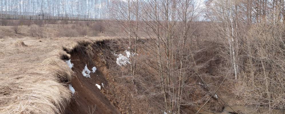 
            Фотография Шнаево