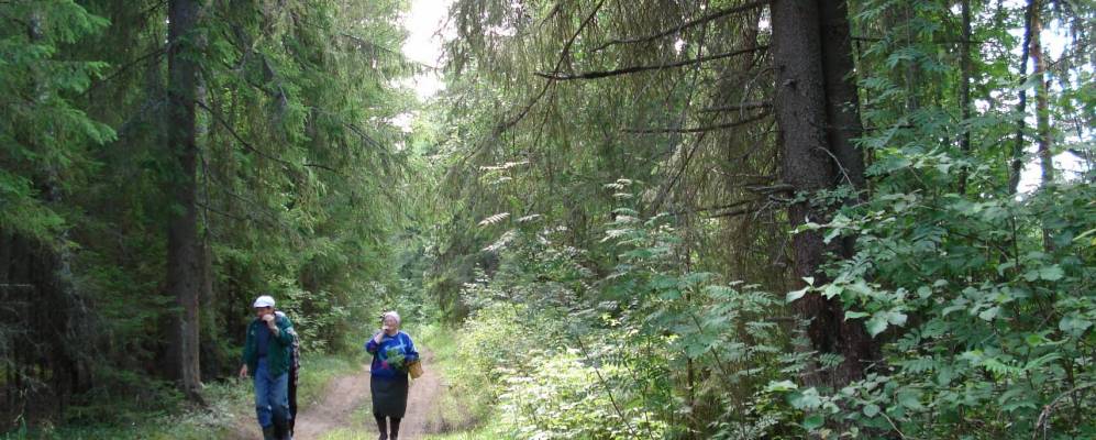 
            Фотография Пячкалово