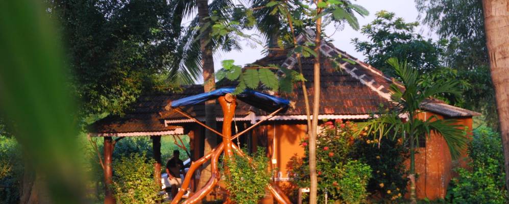 
            Фотография Нерала