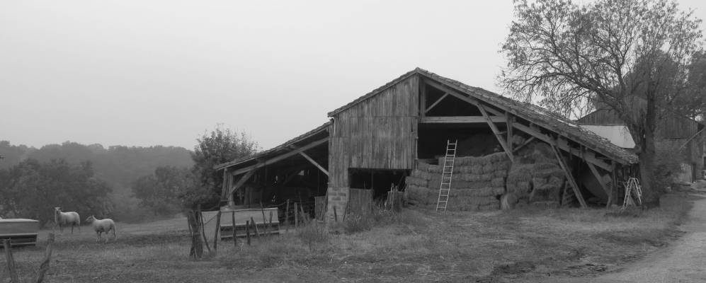 
            Фотография Марсолена