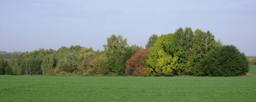 Фотография Корнилово