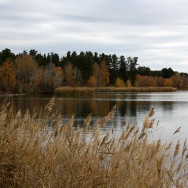 Малые Бутырки