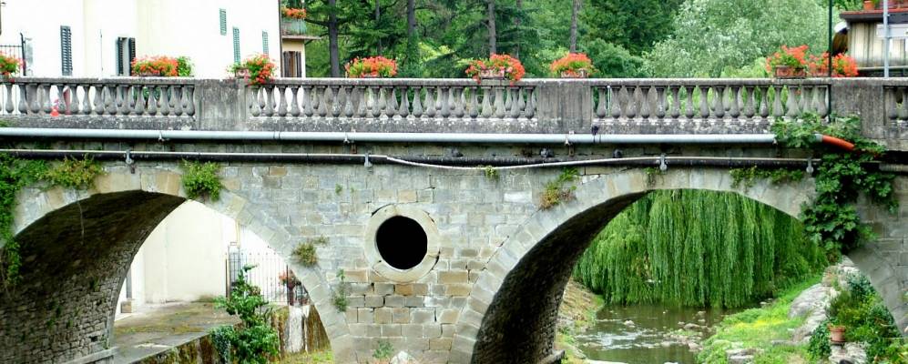 
            Фотография Лонды