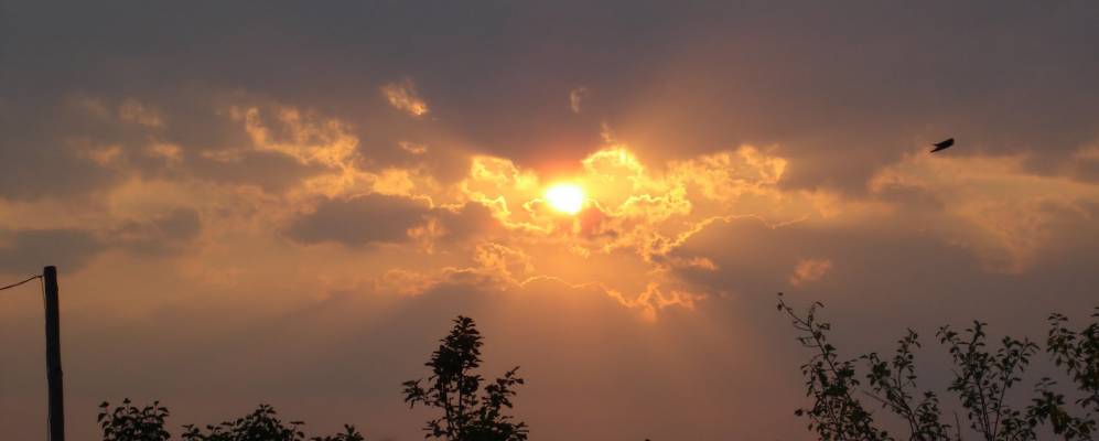 
            Фотография Санделы