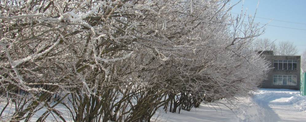 
            Фотография Беляево