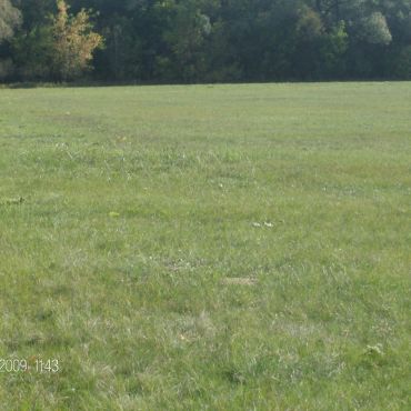 Бала-Четырман