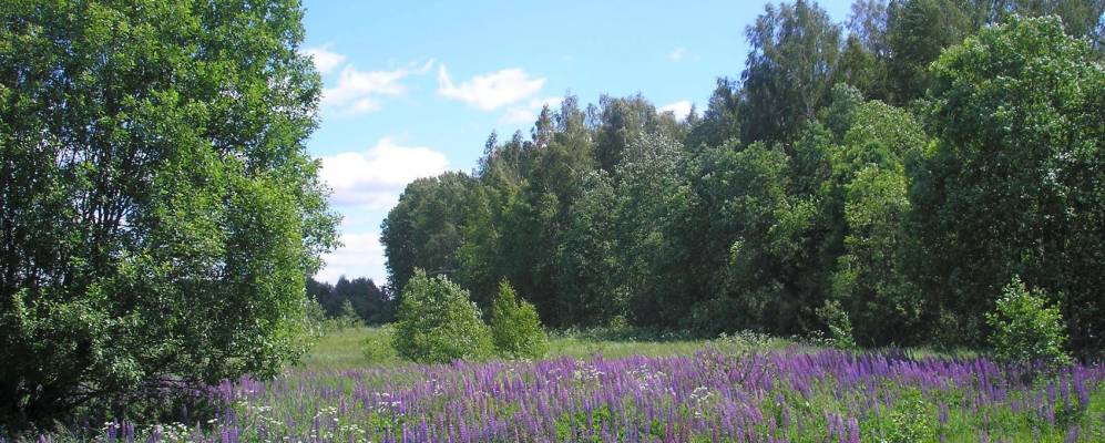 Фотография Сидорково