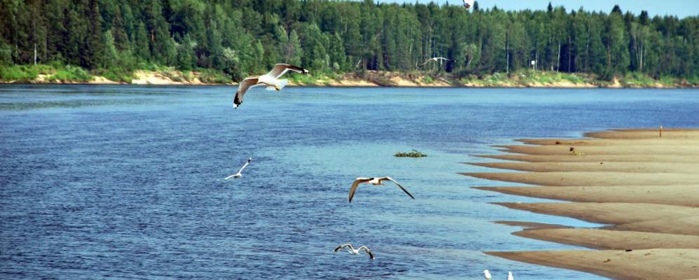 Фотография Большой Пармы