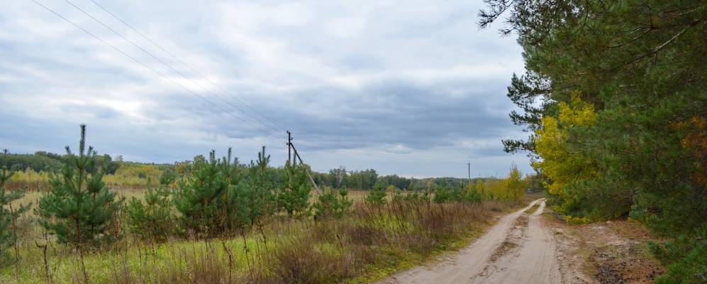 
            Фотография Лесовой Поляны