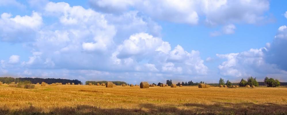 Фотография Городища