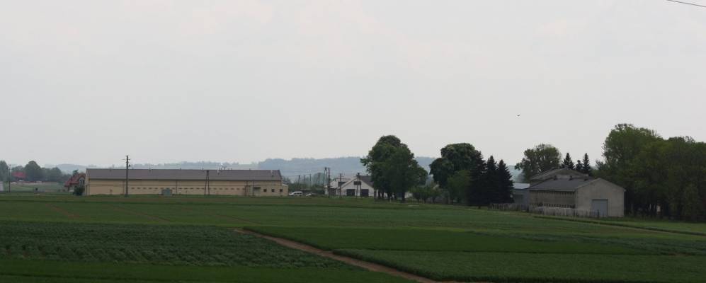 Фотография деревни Ромашки