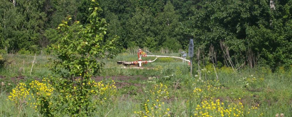 
            Фотография Покровки