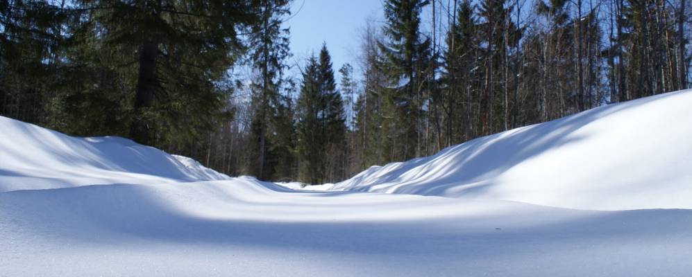 Фотография Паньи