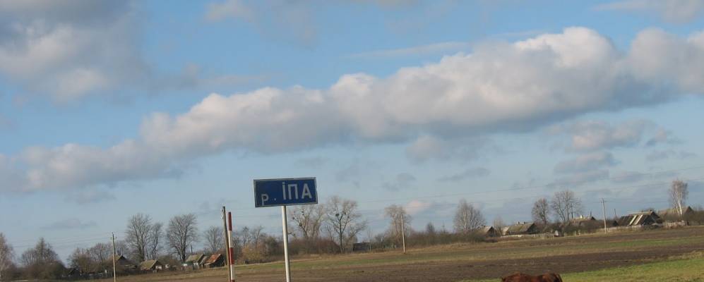 Фотография Язвина