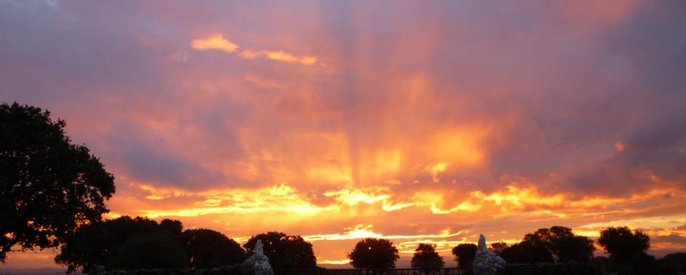 
            Фотография Касафранка