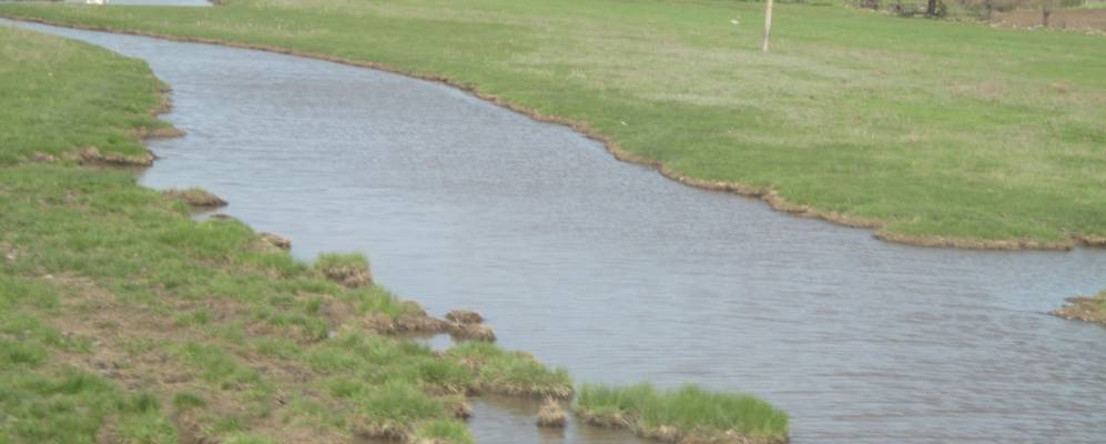 
            Фотография Ряснополя