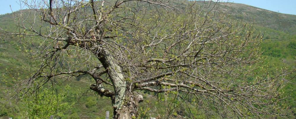 
            Фотография Ку